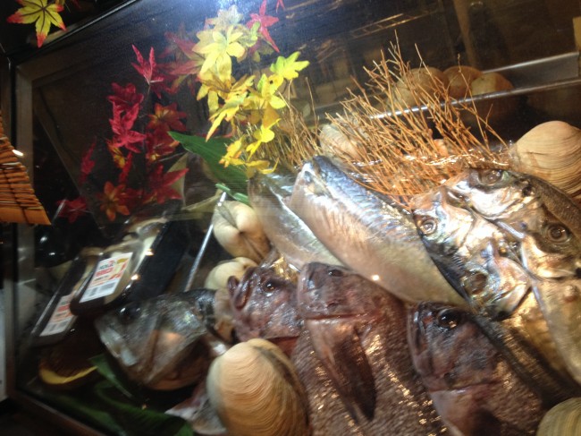 20131120_174459.jpeg
