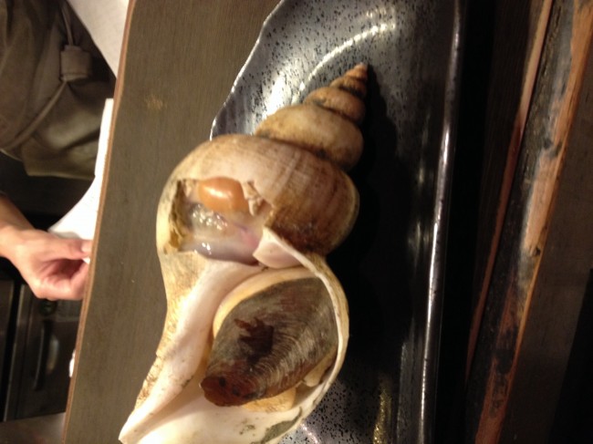 20131129_180023_3.jpeg