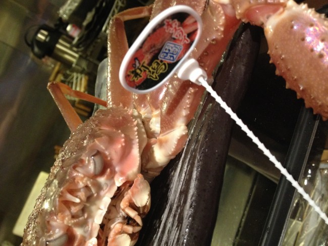 20131206_163026_2.jpeg
