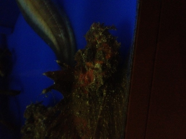 20131207_165817_2.jpeg