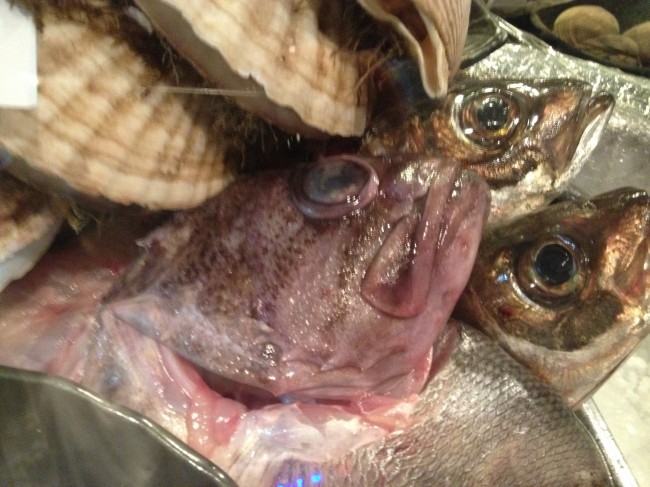 20140115_173855_2.jpeg