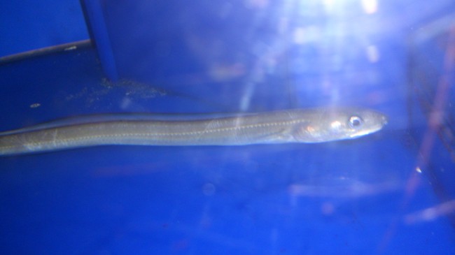 DSC_0150_3.jpg