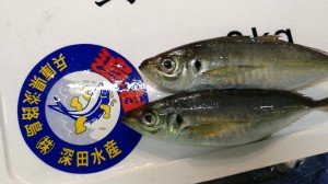 F591C047-432E-42D4-B5C2-77A9C3B8C55B