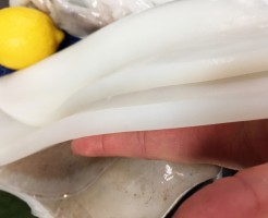 S__17096730