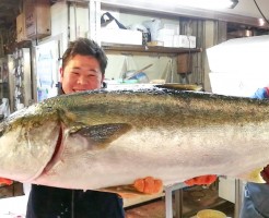 ひらまさ