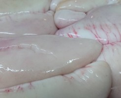 96413
