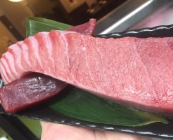 本まぐろトロ