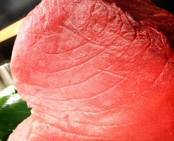 maguro-1