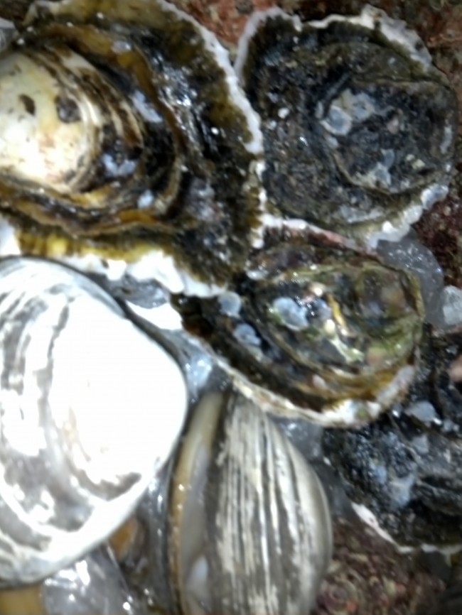 IMG00477.jpg