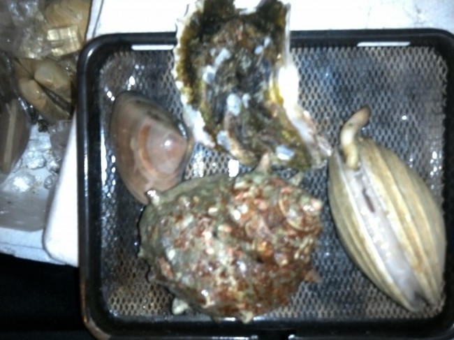IMG00497.jpg