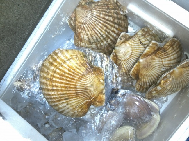 IMG00547.jpg