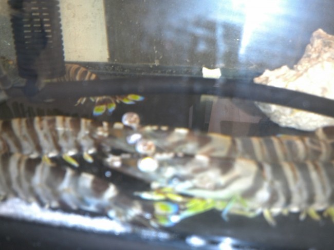 IMG00570.jpg