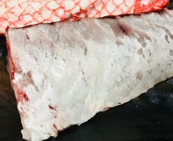 S__20258829