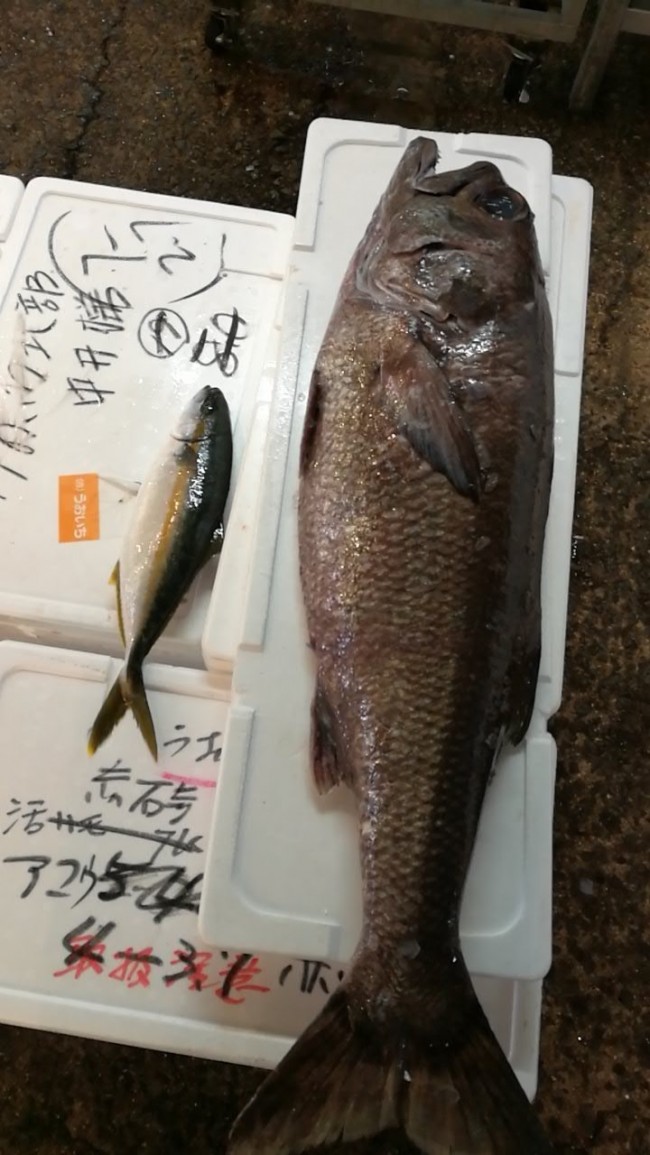 20180605_180605_0001