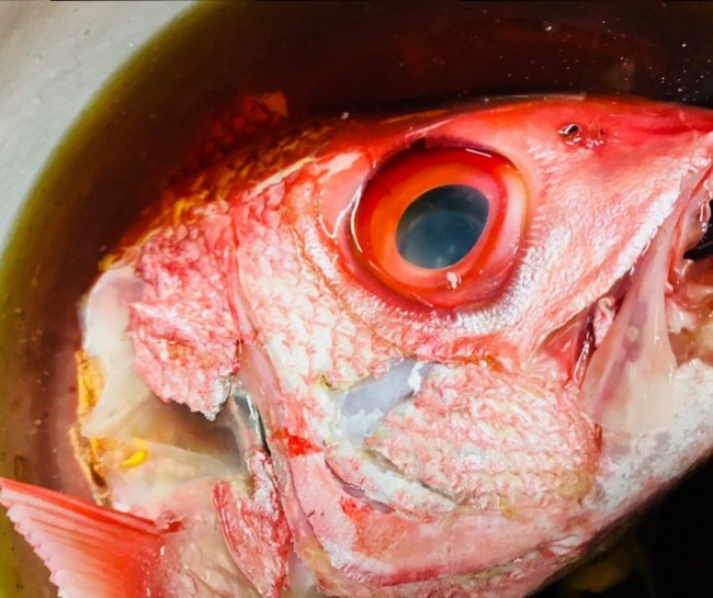 はまだい煮付け