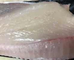 千葉石カレイ
