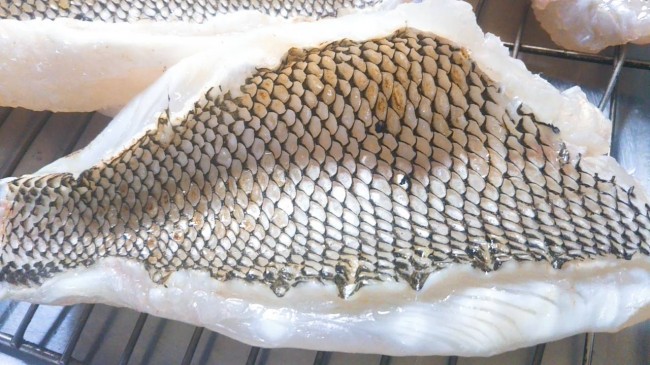 最高級白身魚メイチダイ