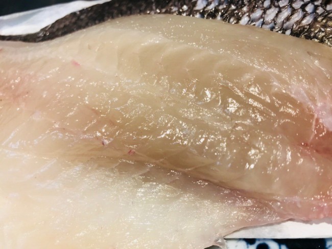 最高級白身魚メイチダイ