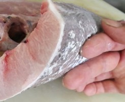 完熟かんぱち