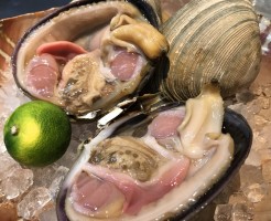 大あさり