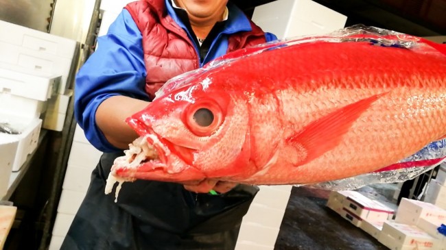 市場魚_181101_0007