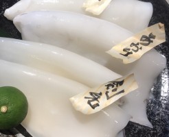 S__26689560