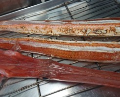 アカヤガラ焼き霜