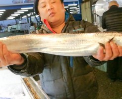 太刀魚