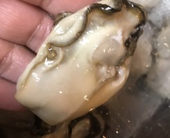 S__29917189