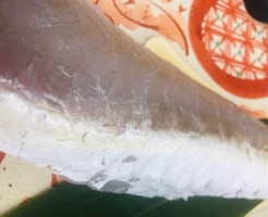 S__30457869
