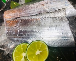 S__34586629