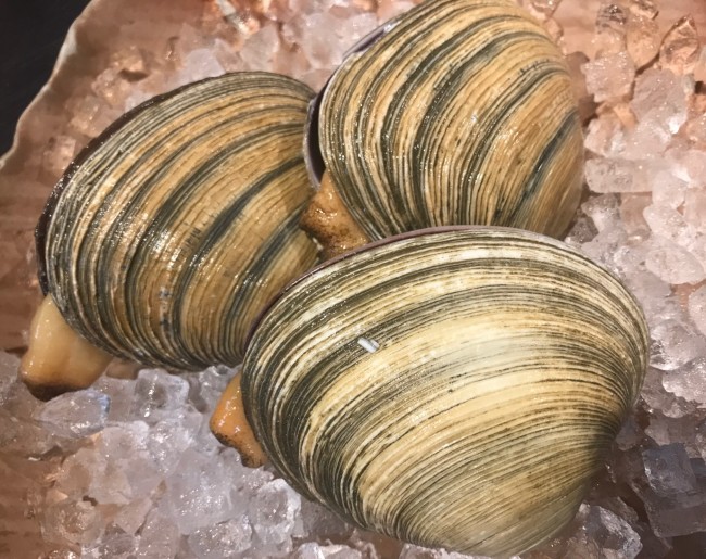 S__36356109