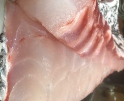 S__38092824