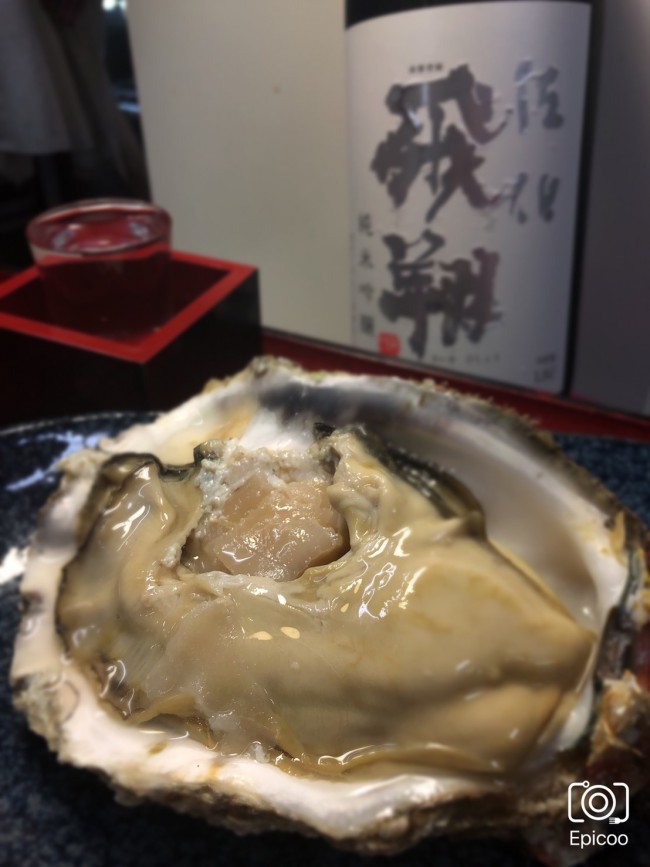 S__23461896