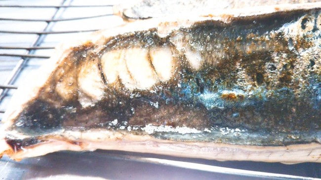 気仙沼カツオ