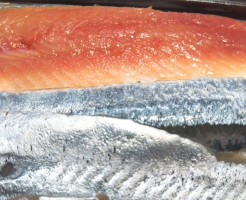 北海道新秋刀魚