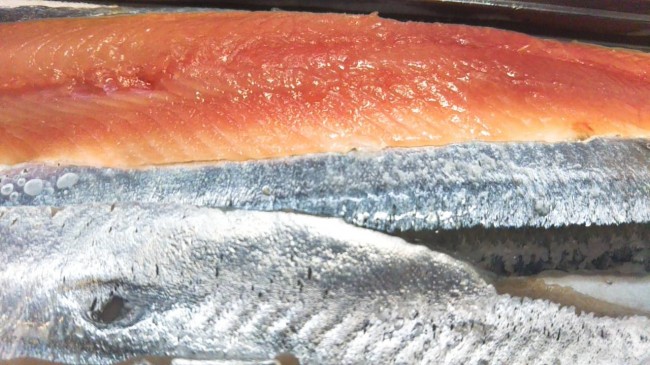 北海道新秋刀魚