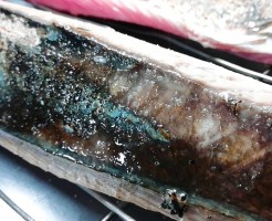気仙沼カツオたたき
