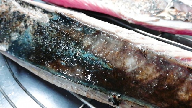 気仙沼カツオたたき