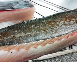 釣りさわら炙り