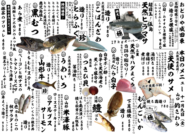 成田新日替わり11-9