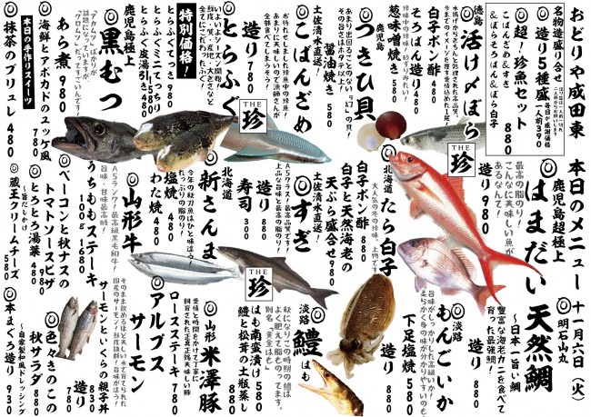 成田新日替わり11-6J