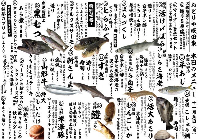 成田新日替わり11-5j