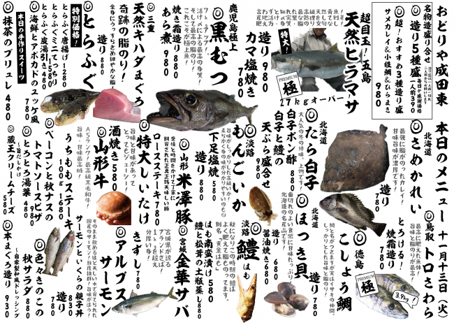 成田新日替わり11-13