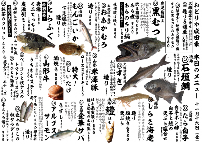 成田新日替わり11-16
