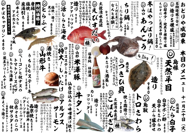 成田新日替わり11-20j