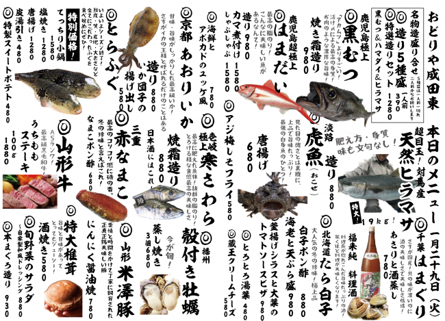 成田新日替わり1-29
