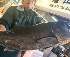 黒むつ