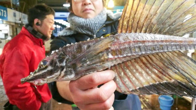 八角