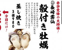 成田HP特別
